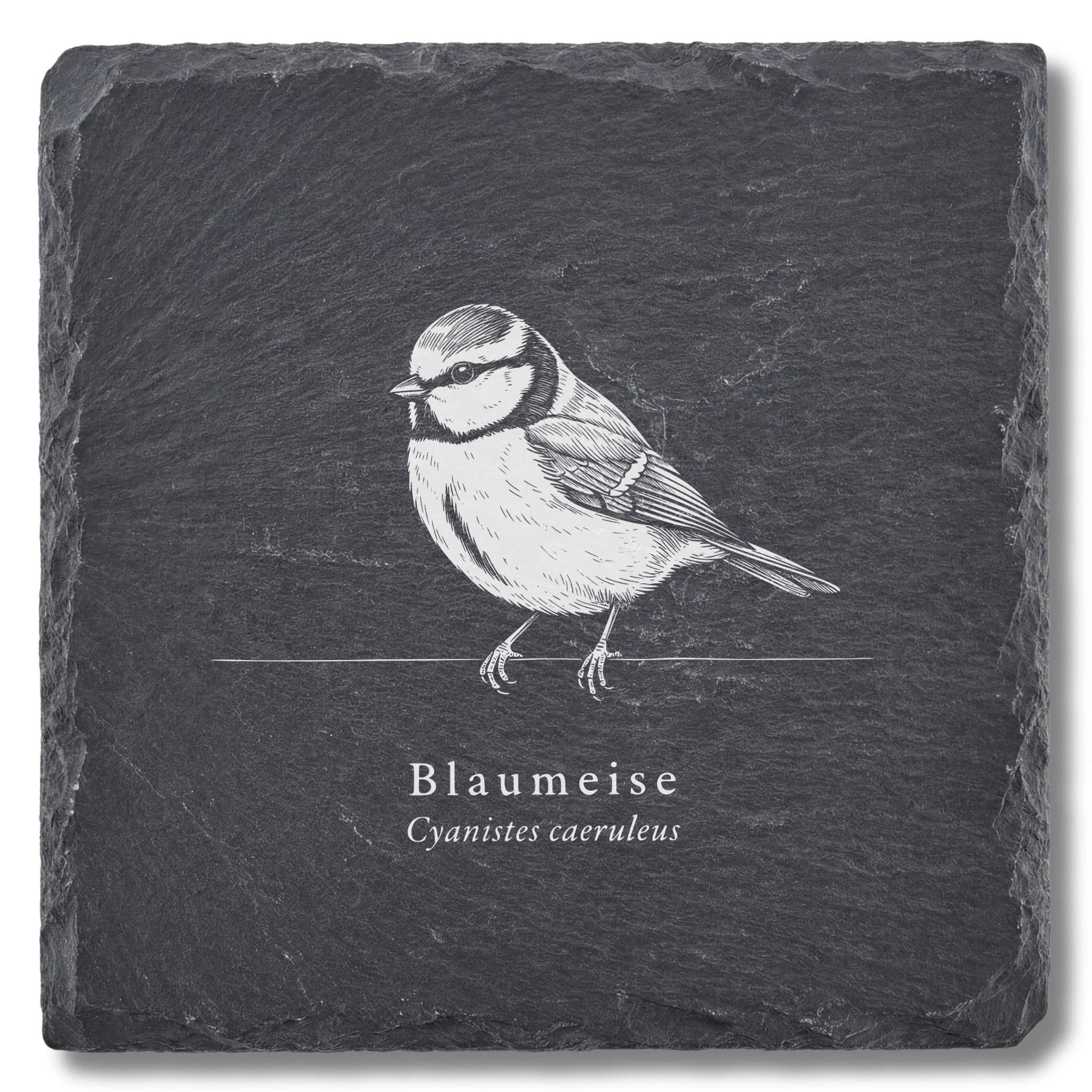 Blaumeise Deko – Vogel-Tafel auf Schieferuntersetzer, graviert