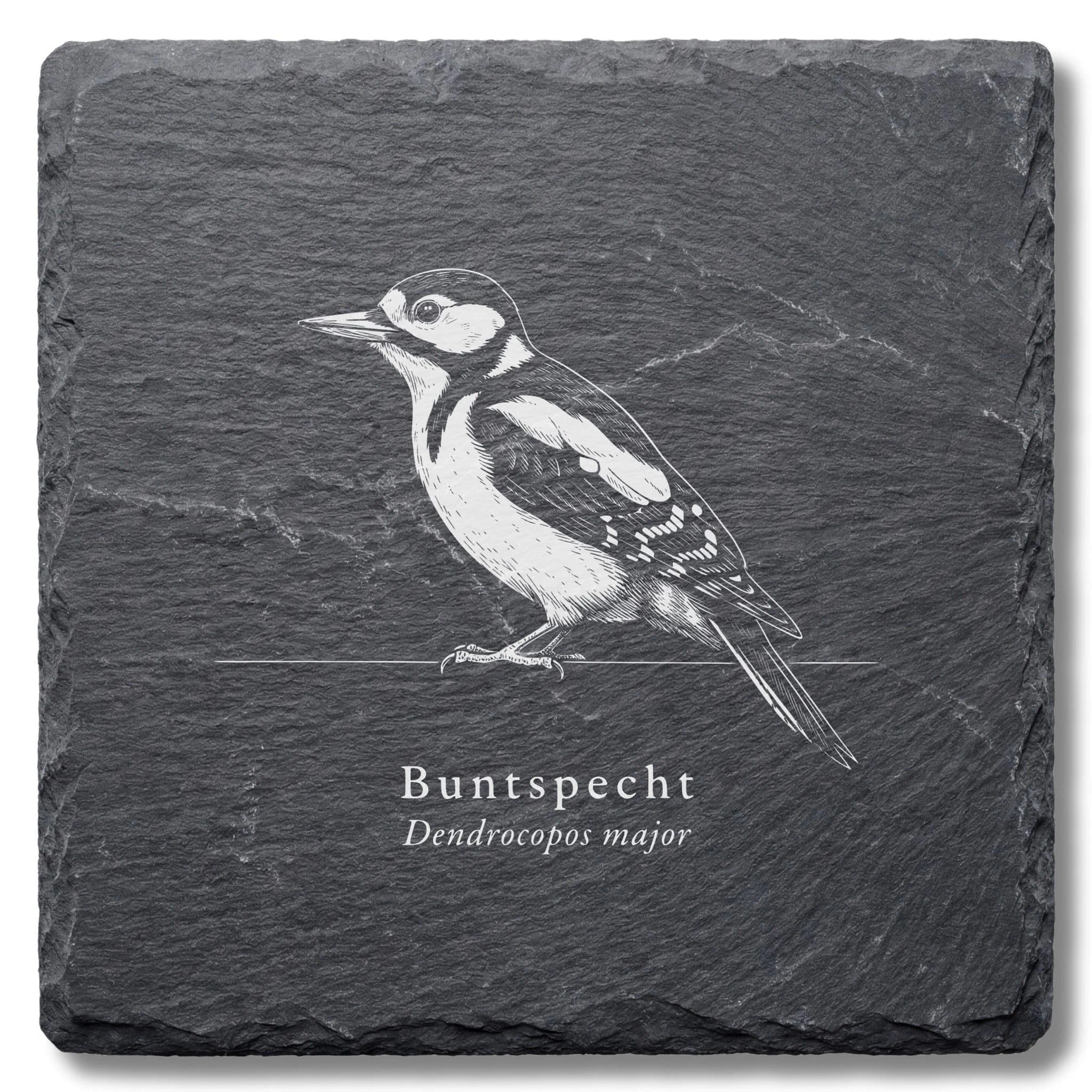 Buntspecht – Vogel-Tafel auf Schieferuntersetzer, fein graviert