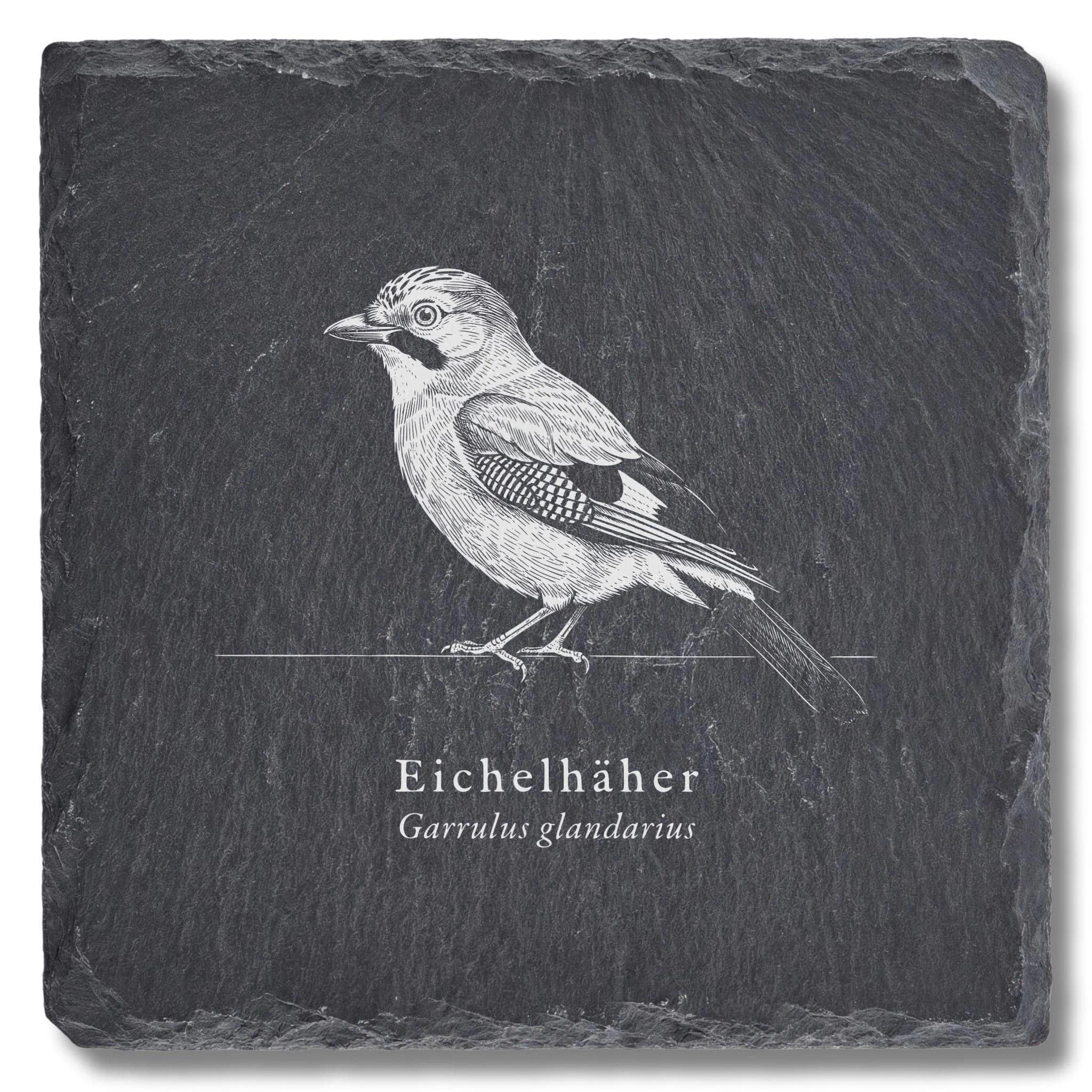 Eichelhäher – Vogel-Tafel auf Schieferuntersetzer, fein graviert