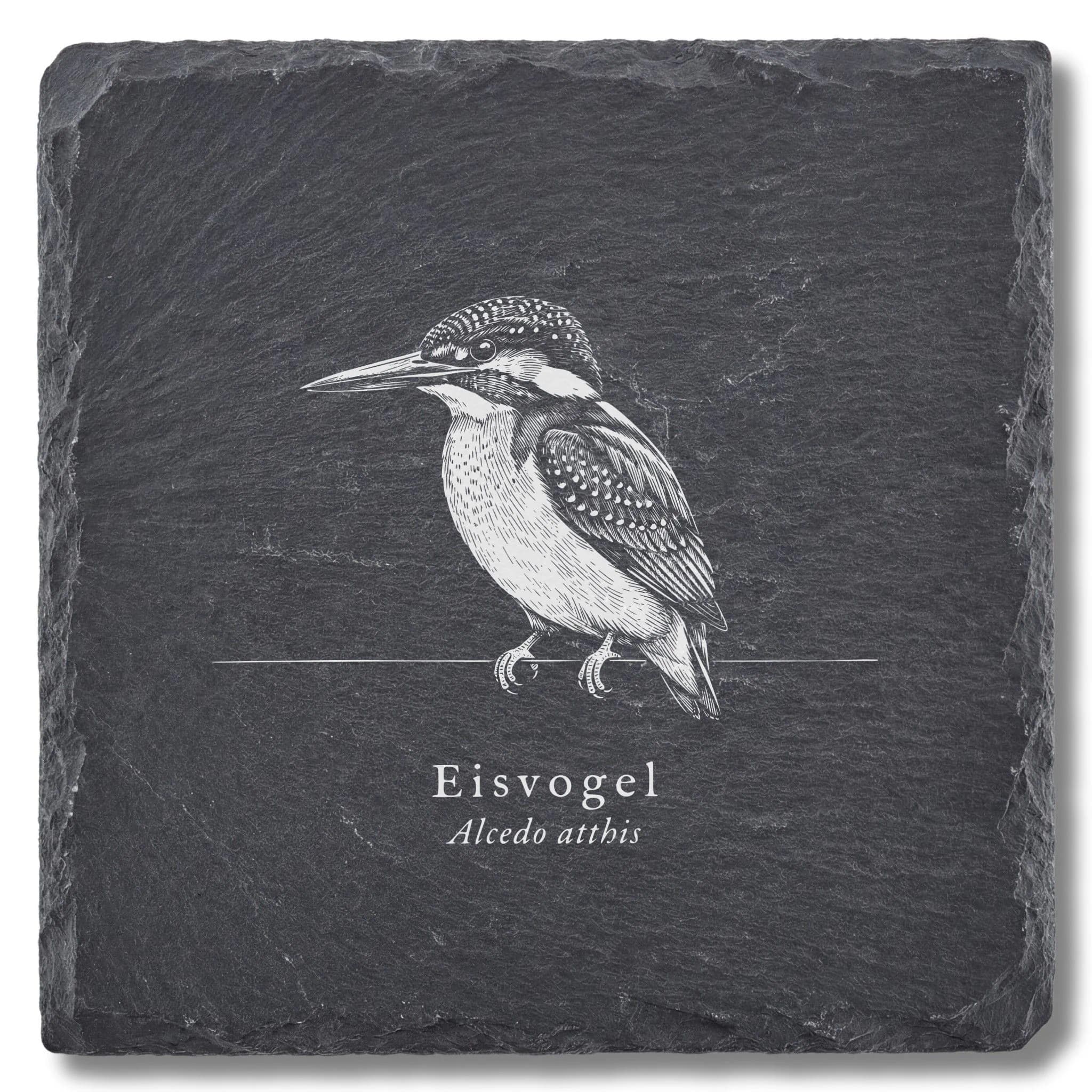 Eisvogel Bild auf Schiefer – Vogel-Tafel als Untersetzer, graviert