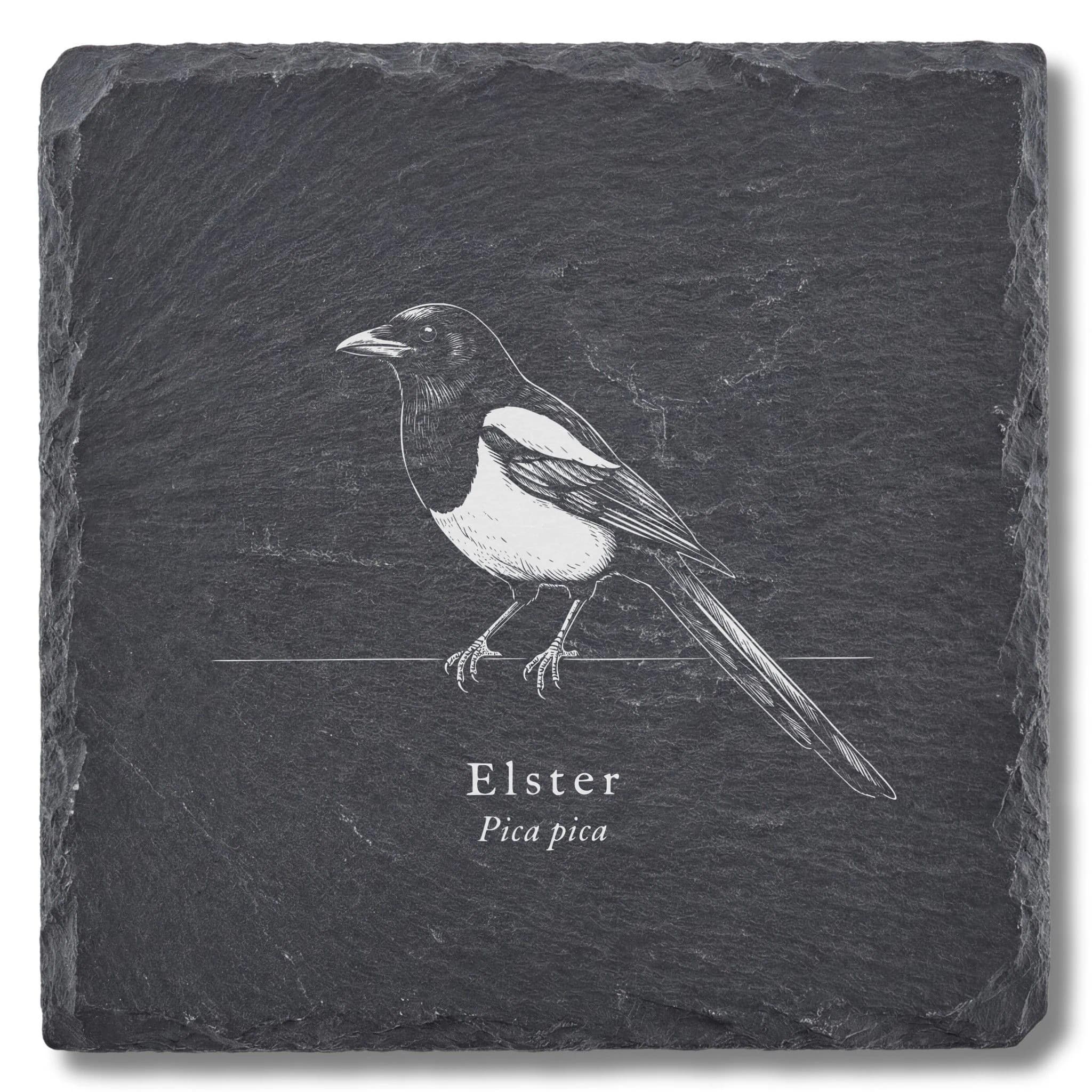 Elster – der Vogel als Tafel auf Schieferuntersetzer, graviert