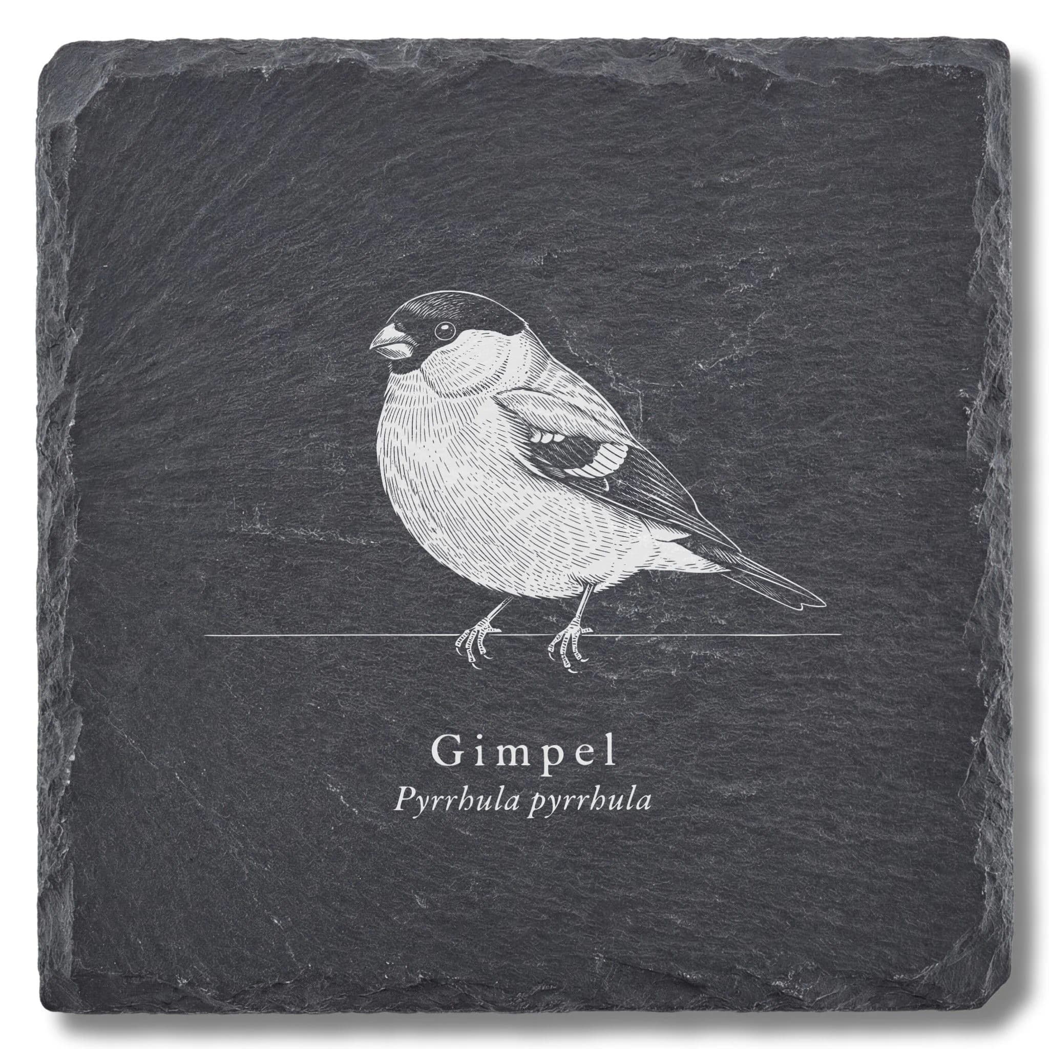 Dompfaff – Gimpel als Vogel-Tafel auf Schieferuntersetzer, graviert