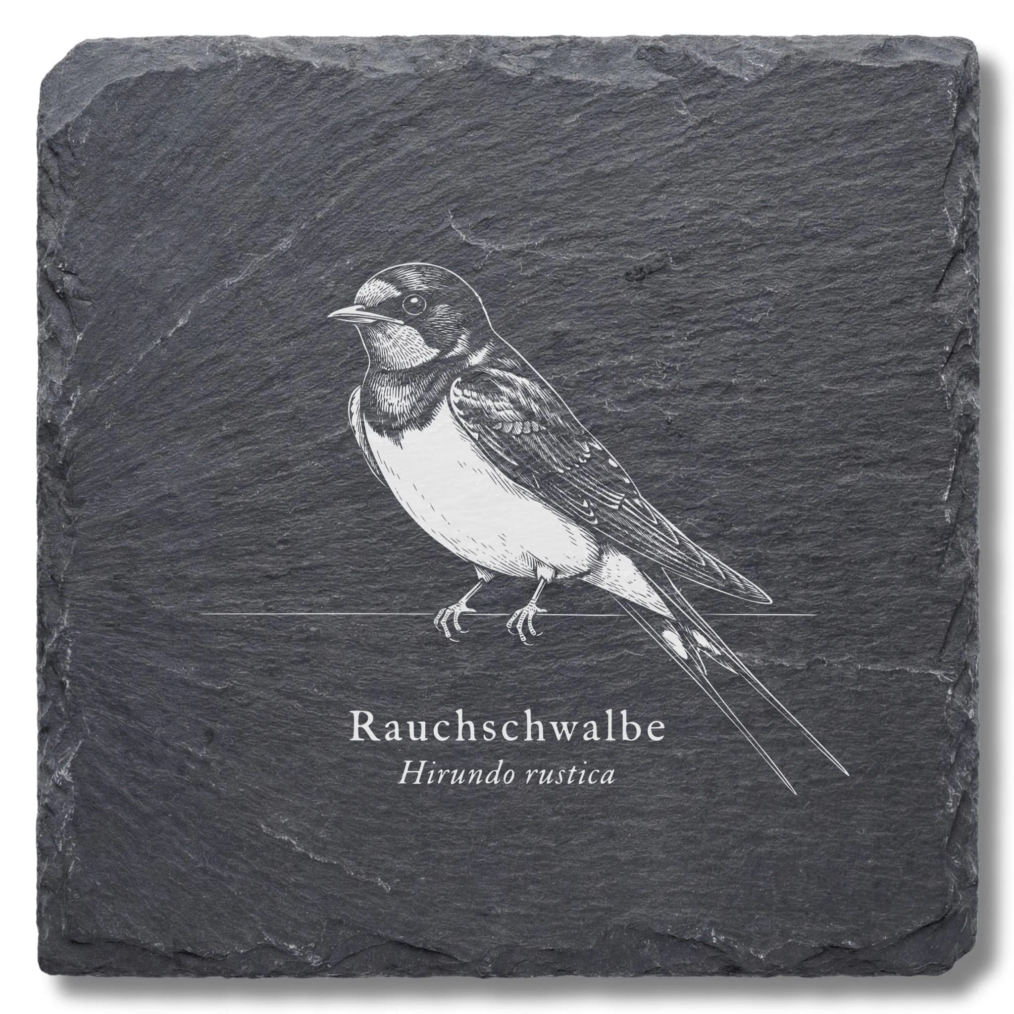 Schwalbe Deko: Rauchschwalbe als Vogel-Tafel auf Schiefer