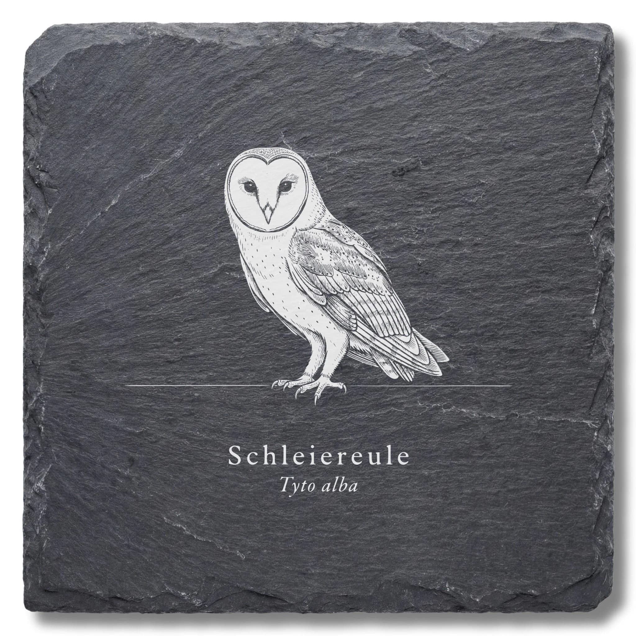 Eulen Deko: Schleiereule als Vogel-Tafel auf Schieferuntersetzer