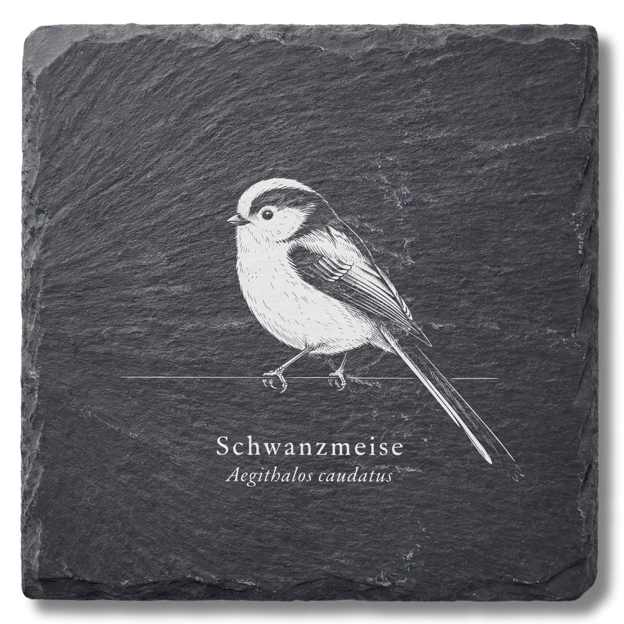 Schwanzmeise Bild – Vogel-Tafel auf Schieferuntersetzer graviert