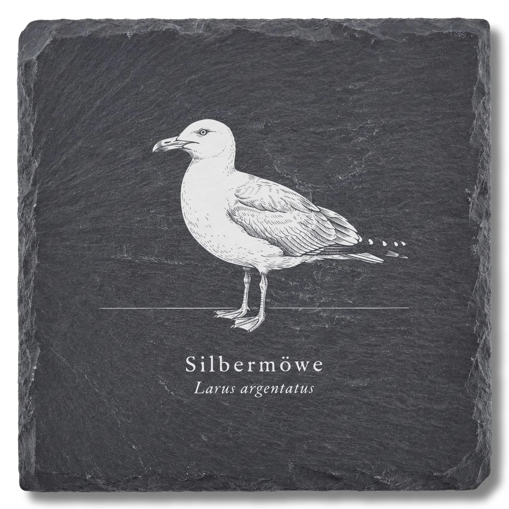 Möwe Deko: Silbermöwe als Vogel-Tafel auf Schieferuntersetzer
