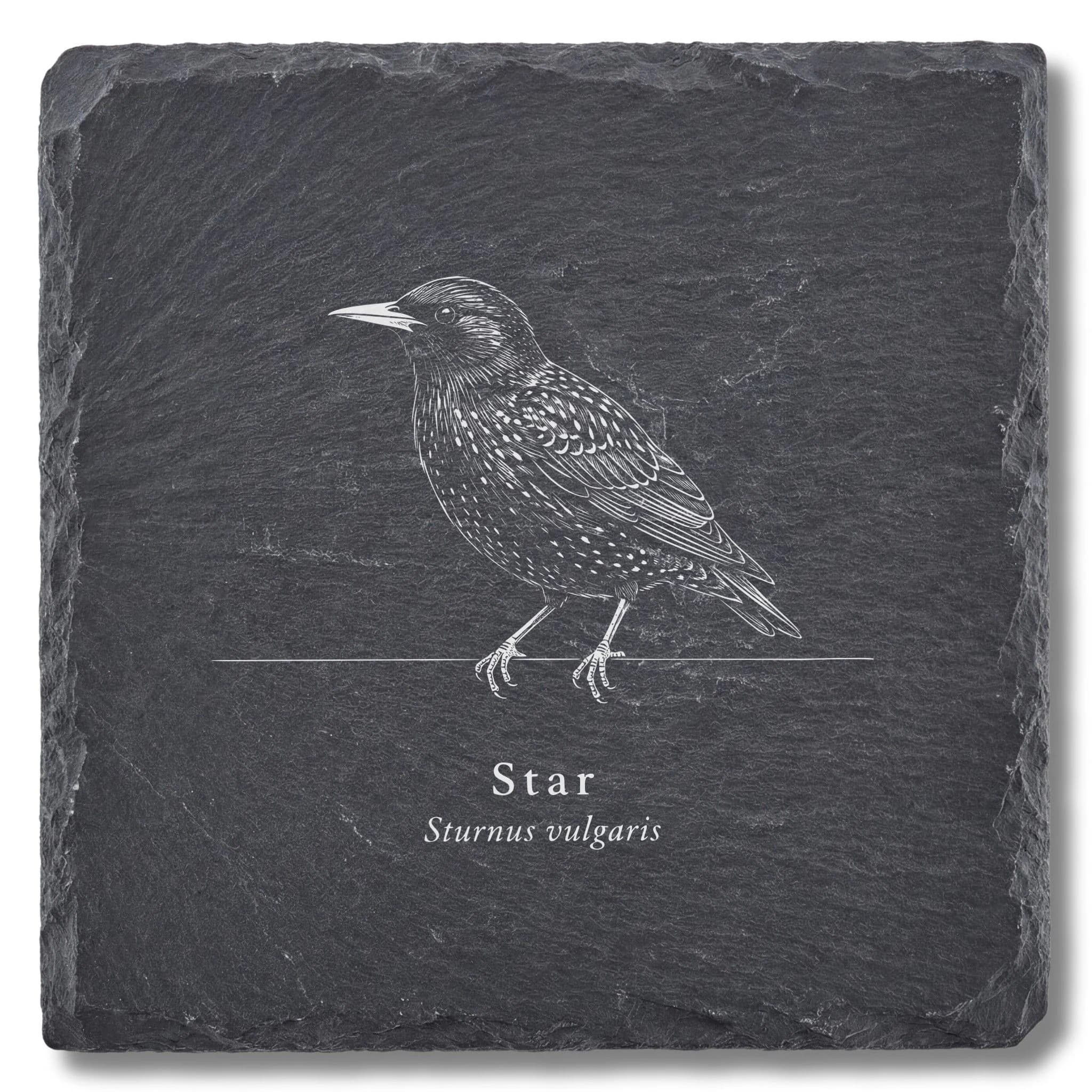 Star – der Vogel als Tafel auf Schieferuntersetzer, fein graviert
