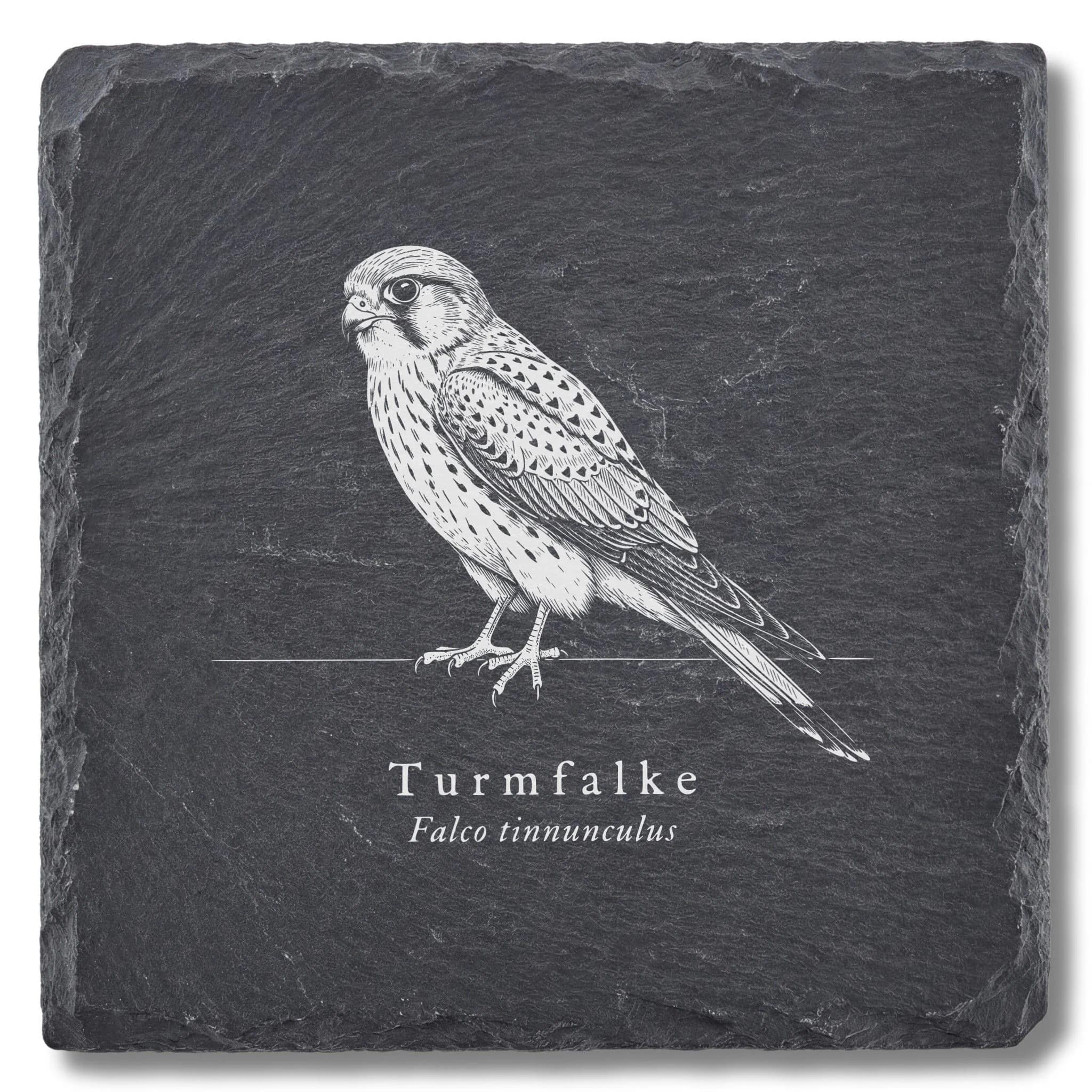 Turmfalke – Vogel-Tafel auf Schieferuntersetzer, fein graviert