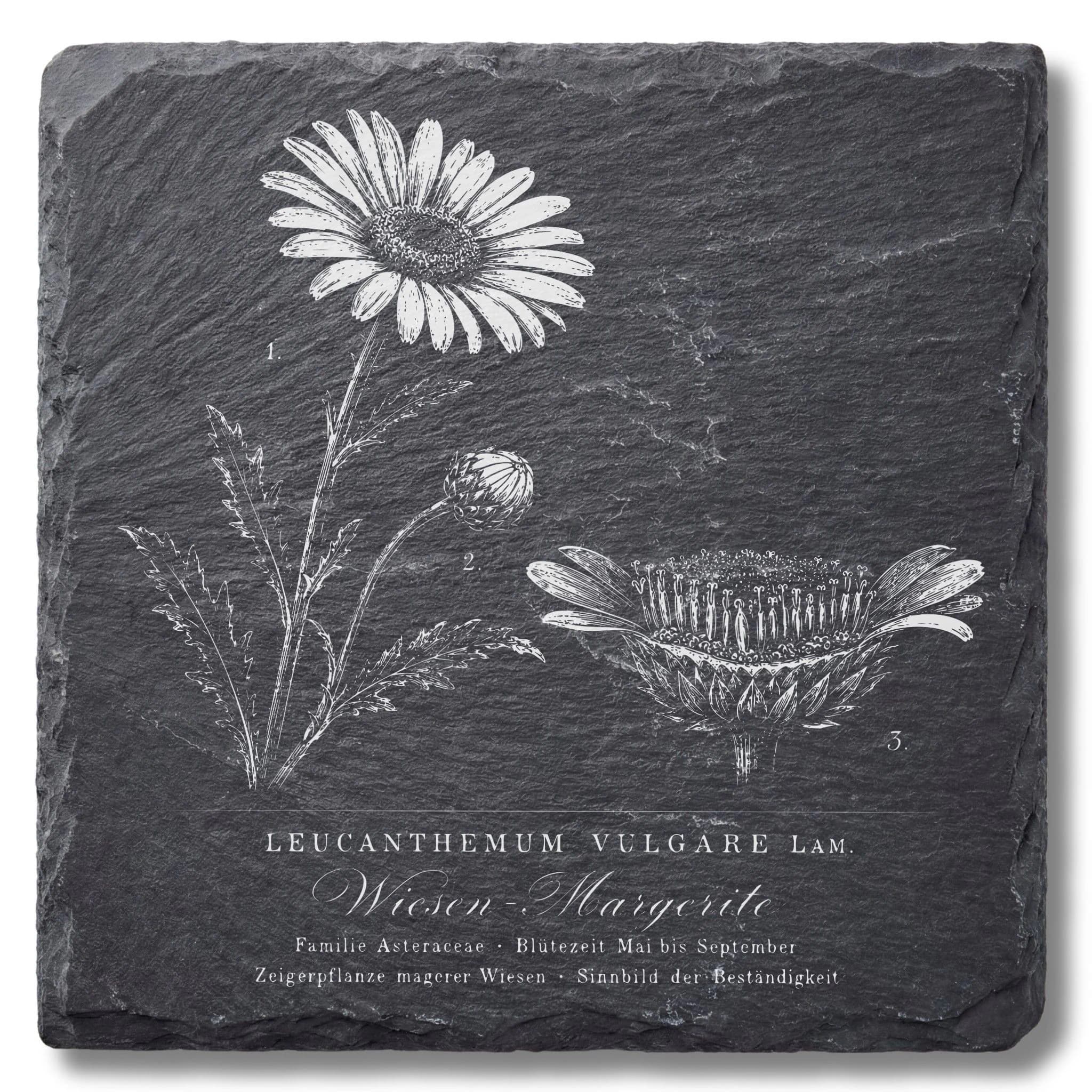 Geschenk für Gärtnerin – Margeriten-Tafel auf Schieferuntersetzer