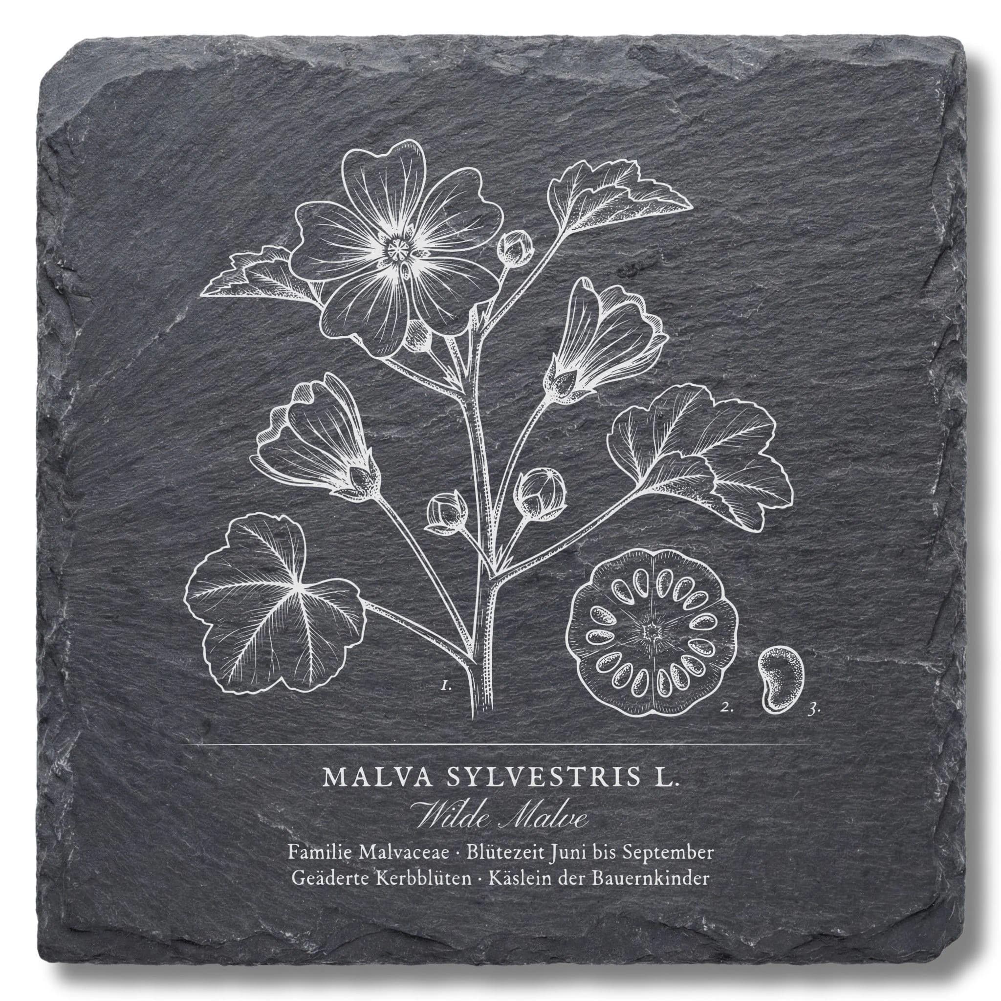 Geschenk für Gärtner – Wilde Malve als Flora-Tafel auf Schiefer