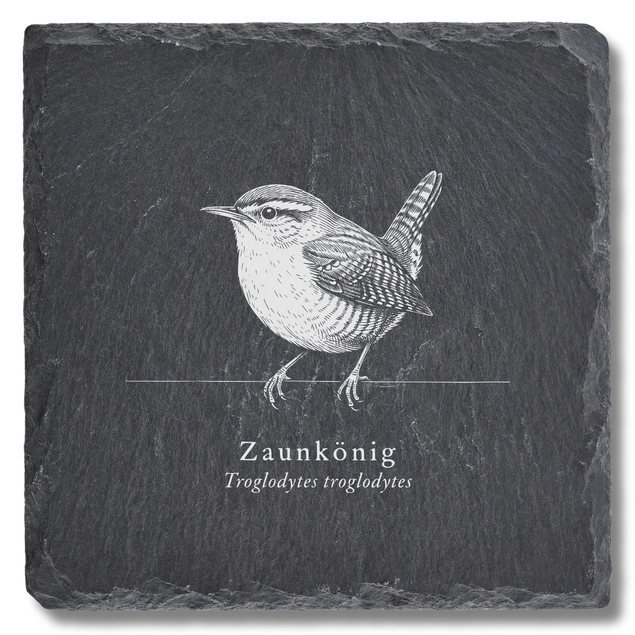 Zaunkönig – Vogel-Tafel auf Schieferuntersetzer, fein graviert
