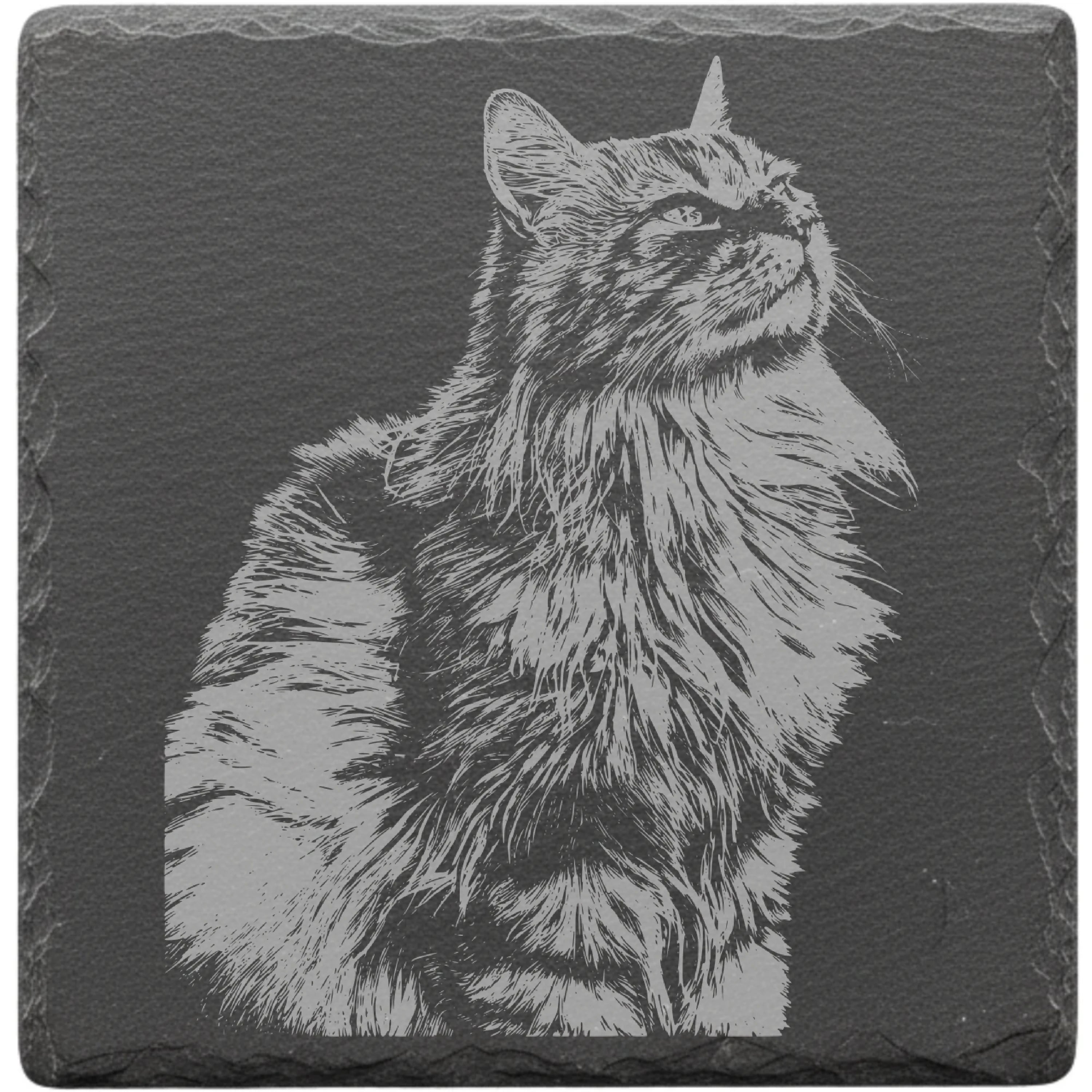 Schiefer Customizer Preview be9750c2