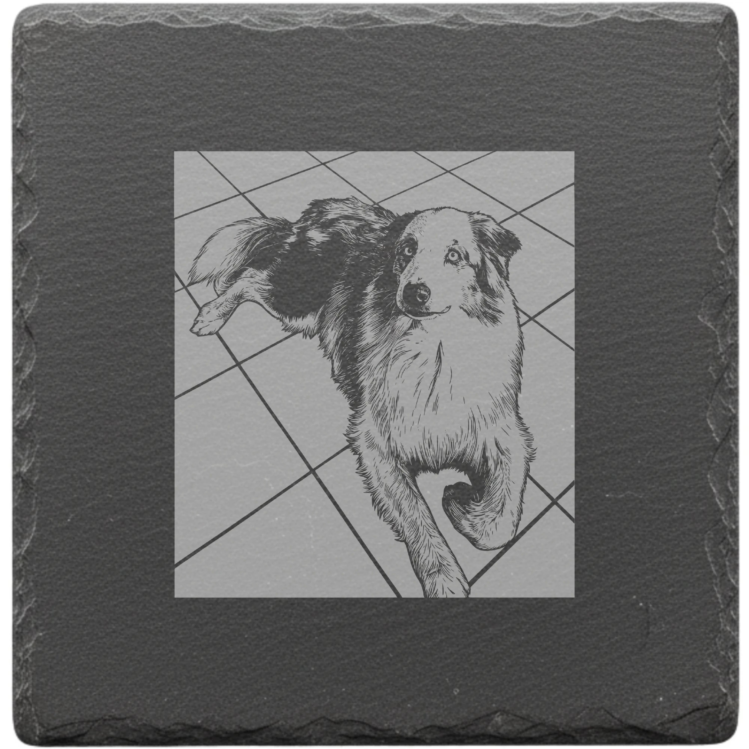 Schiefer Customizer Preview b0885ffe