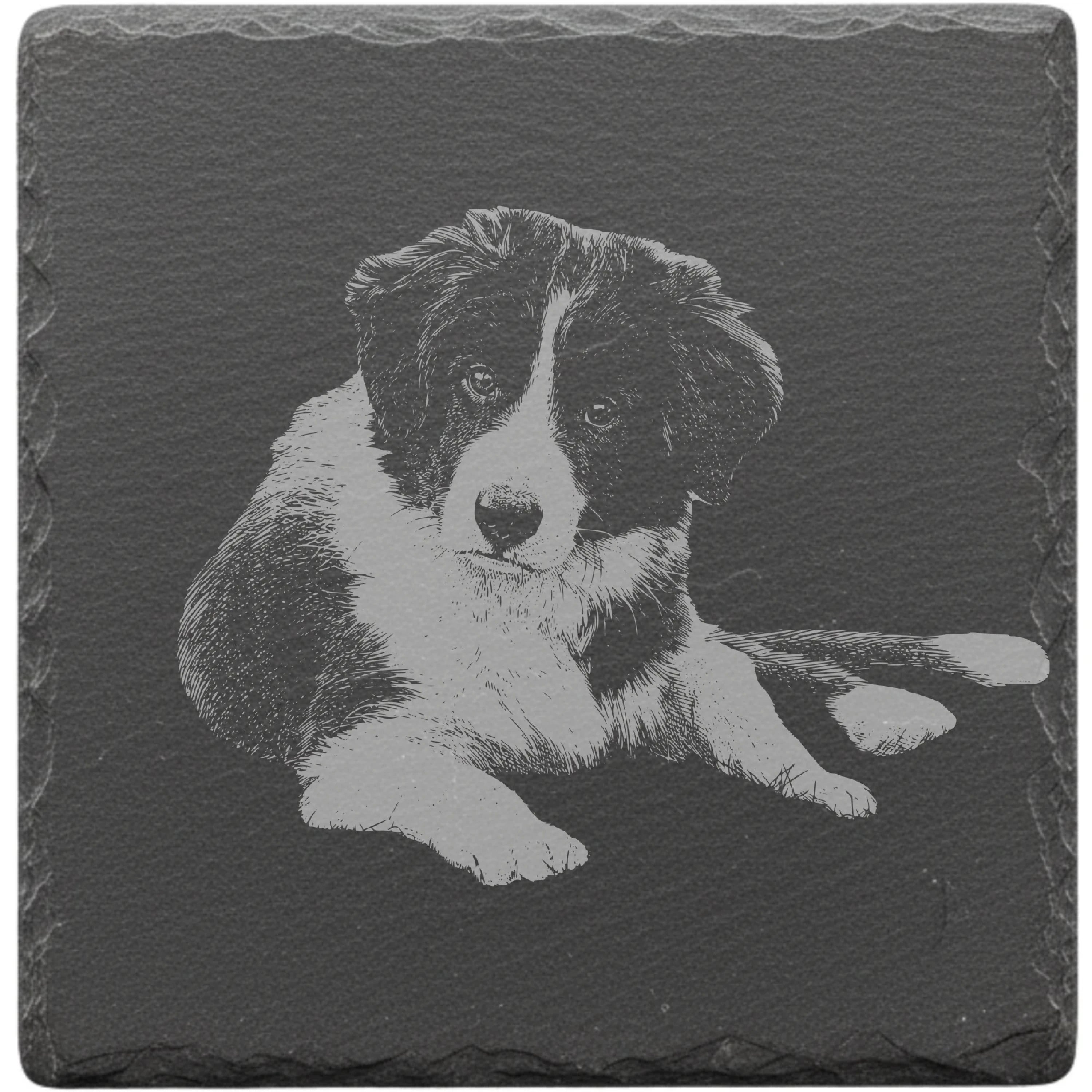 Schiefer Customizer Preview abdb0dbf