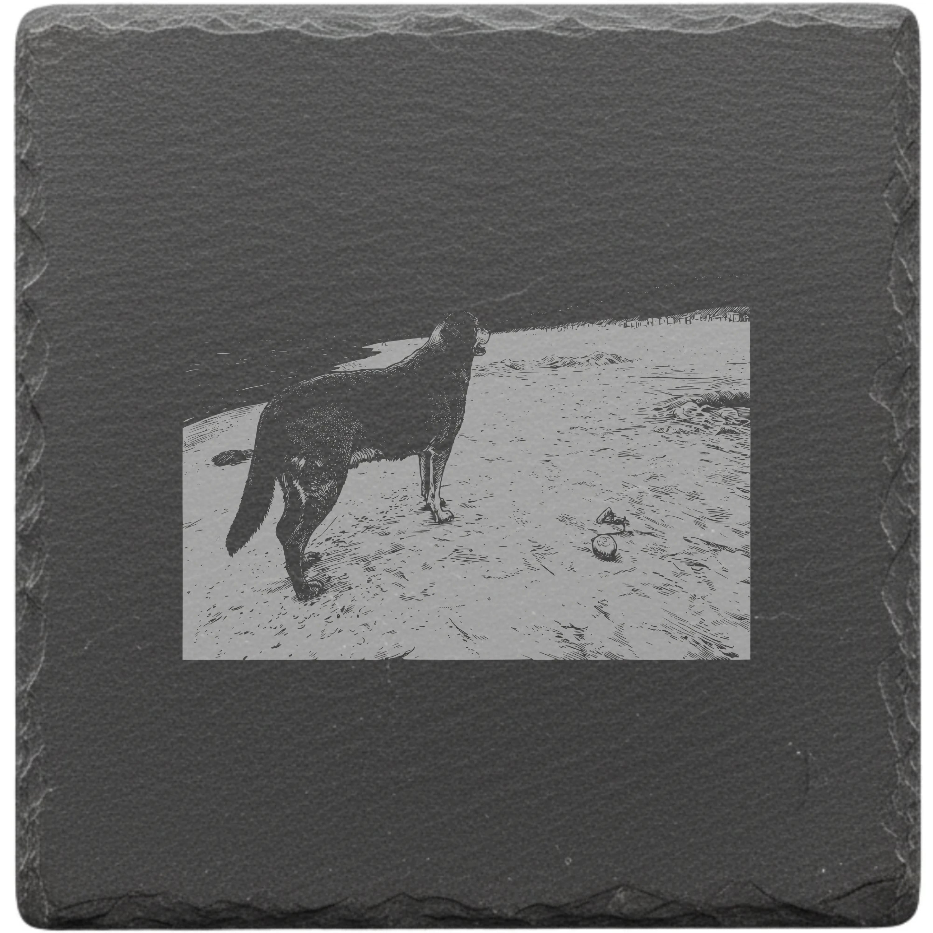 Schiefer Customizer Preview b76383ed